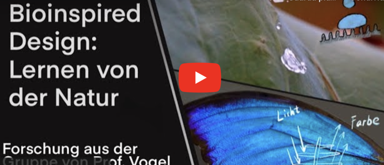 Research in the Vogel Group